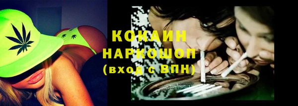твердый Пестово