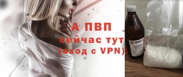 хмурый Богданович