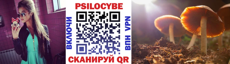 Псилоцибиновые грибы прущие грибы  Дагестанские Огни 