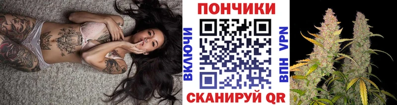 где можно купить   Дагестанские Огни  Марихуана ГИДРОПОН 